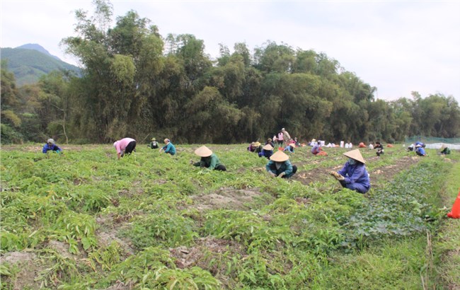 Bắc Kạn: Khắc phục bất cập trong rà soát, xác định hộ nghèo (12/12/2021)